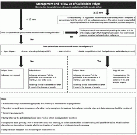 Gallenblasenpolyp