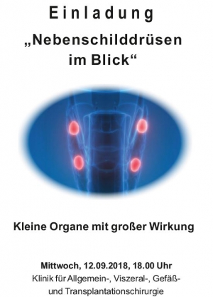 Bild zur Meldung